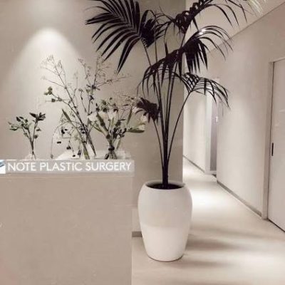 韩国整形吸脂(Liposuction)注意事项有哪些